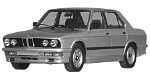 BMW E28 U281D Fault Code